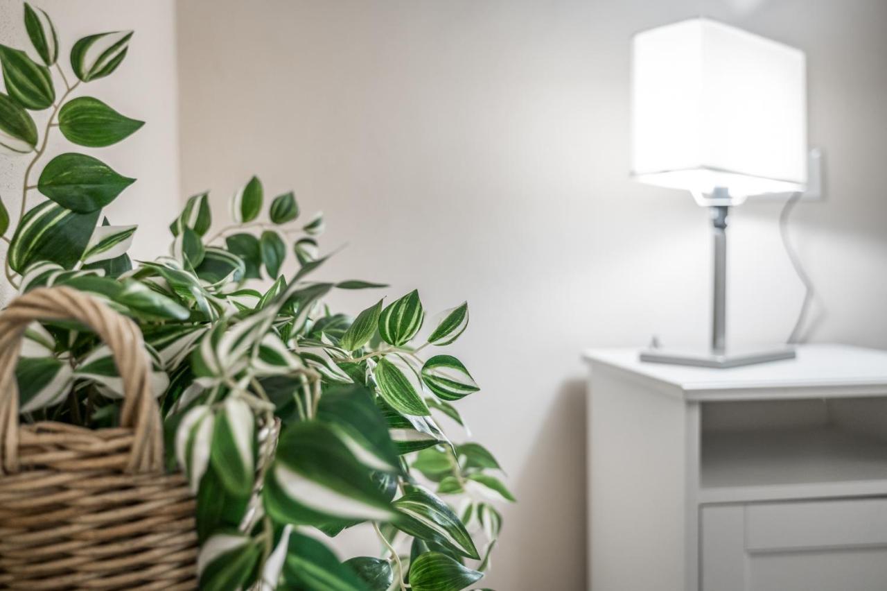 Broccaindosso Wood Apartments 5* Μπολόνια Εξωτερικό φωτογραφία